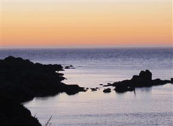 Artist Retreat Bed and Breakfast