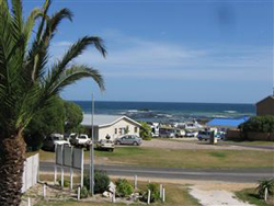 The Whale 'N Shark B and B