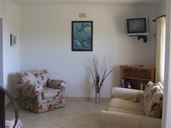 The Whale 'N Shark B and B