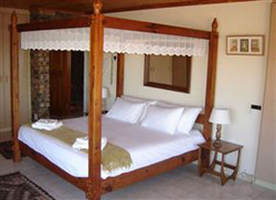 White Shark Guest House