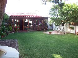 Pine Tree Cottage B and B