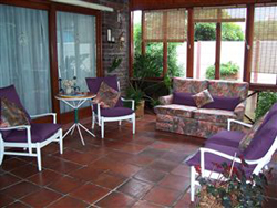 Pine Tree Cottage B and B