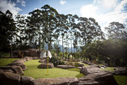 Ingeli Forest Resort
