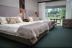 Ingeli Forest Resort