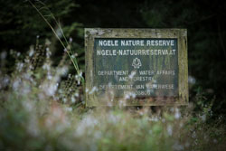 Ingeli Forest Resort