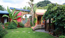 The Rabbit Hole Guest House