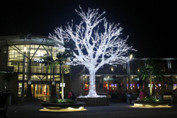 KwaBhekizihambi Guest House