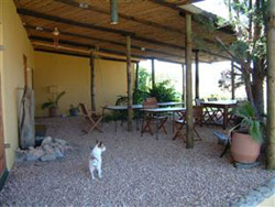 BeeCatcher Guest Farm