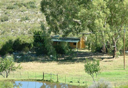 BeeCatcher Guest Farm