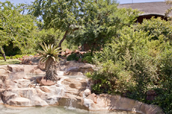Elephant Rock Safari Lodge