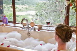 Elephant Rock Safari Lodge