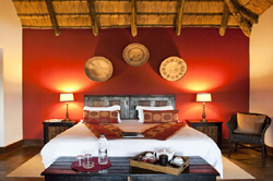 Elephant Rock Safari Lodge