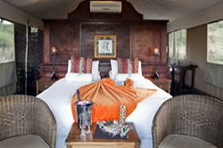 Springbok Lodge
