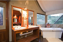 Springbok Lodge