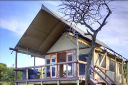 Springbok Lodge