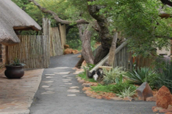 Umzolozolo Lodge