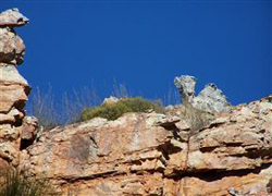 Witteberg Private Reserve