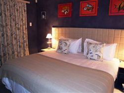 The Wacky Bush Lodge