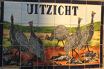 Uitzicht 
