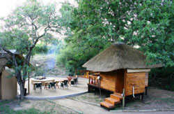 Lion Tree Lodge