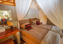 Lion Tree Lodge