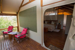 Lion Tree Lodge