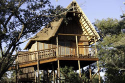 Lion Tree Lodge