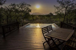 Lion Tree Lodge