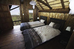Lion Tree Lodge