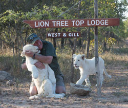 Lion Tree Lodge