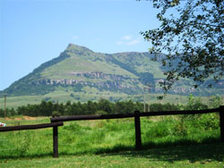 Whistling Duck Farm Cottage