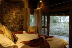 Buffalo Ridge Safari Lodge Madikwe Game Reserve