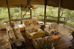 Buffalo Ridge Safari Lodge