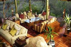 Buffalo Ridge Safari Lodge