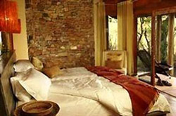 Buffalo Ridge Safari Lodge