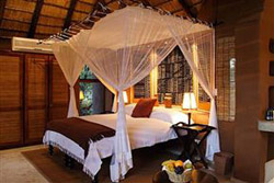 Impodimo Game Lodge Madikwe Game Reserve