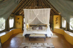 Jaci's Safari and Tree Lodges Madikwe Game Reserve