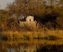 Jaci's Safari and Tree Lodges