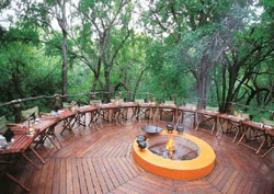 Jaci's Safari and Tree Lodges