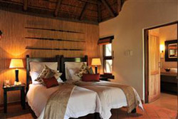 Madikwe River Lodge Madikwe Game Reserve