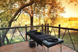 Madikwe River Lodge