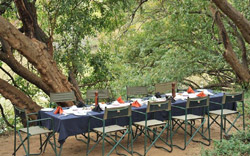 Madikwe River Lodge