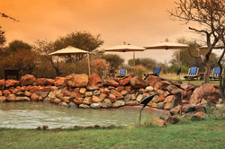 Madikwe River Lodge