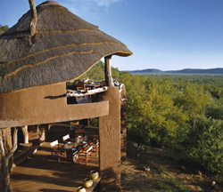Madikwe Safari Lodge