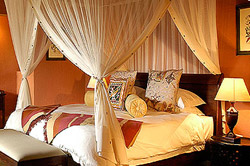 Motswiri Safari Lodge Madikwe Game Reserve