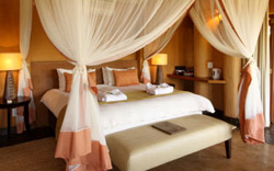 Rhulani Safari Lodge Madikwe Game Reserve