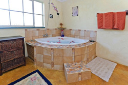 Blue Roan Guest Farm