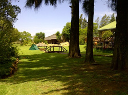 Blue Roan Guest Farm