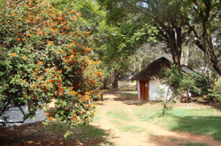 Bushtrails Ibis Cottage