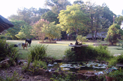 Bushtrails Ibis Cottage